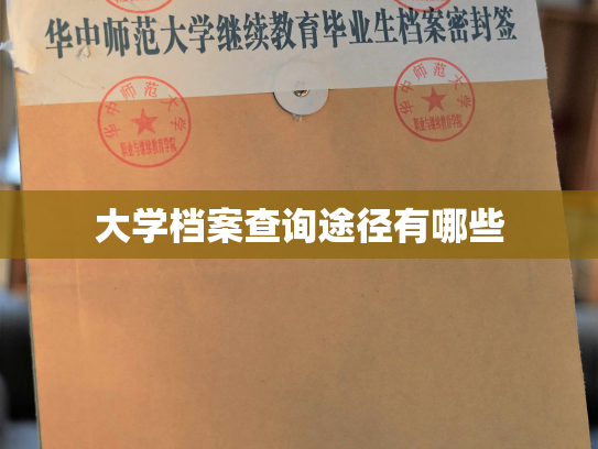 大学档案查询途径有哪些
