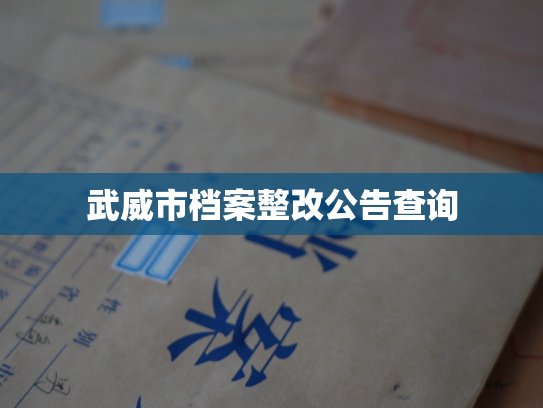 武威市档案整改公告查询
