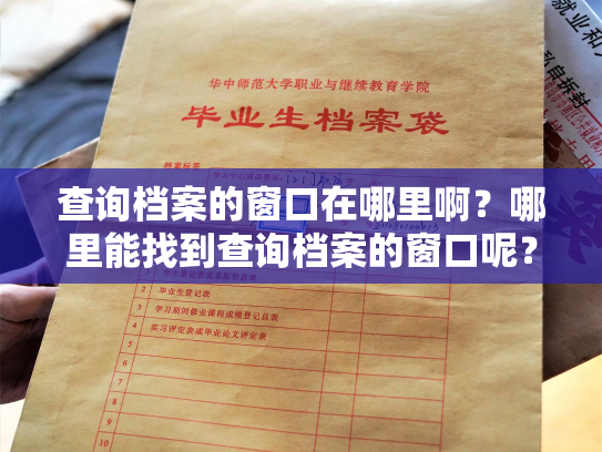 查询档案的窗口在哪里啊？哪里能找到查询档案的窗口呢？