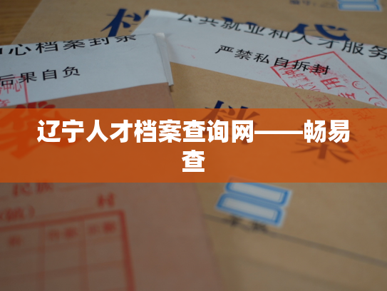 辽宁人才档案查询网——畅易查