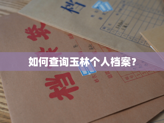 如何查询玉林个人档案？