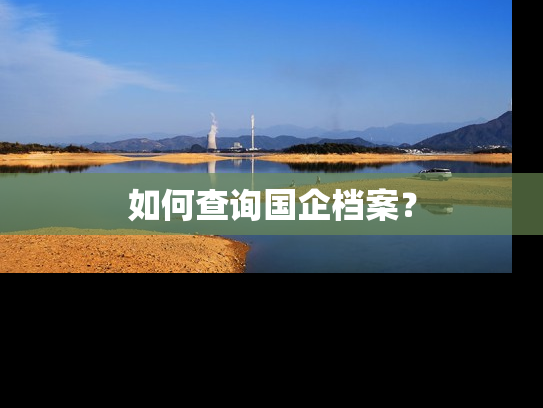 如何查询国企档案？