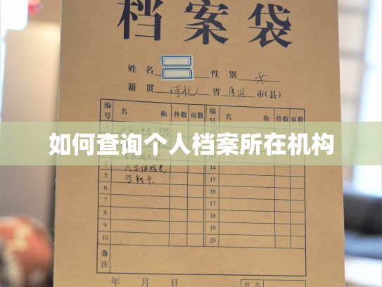 如何查询个人档案所在机构