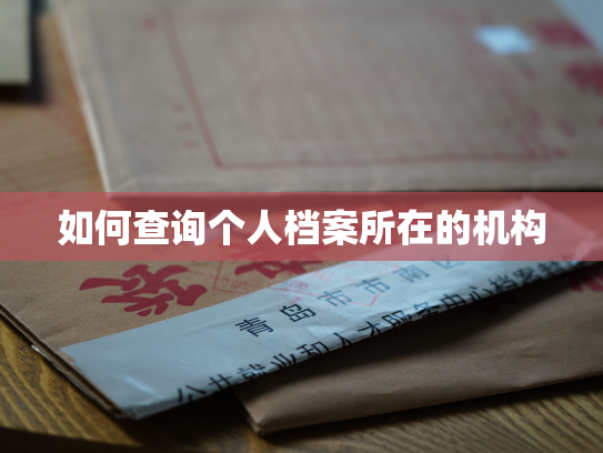 如何查询个人档案所在的机构