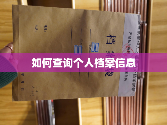 如何查询个人档案信息