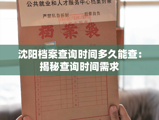 沈阳档案查询时间多久能查：揭秘查询时间需求