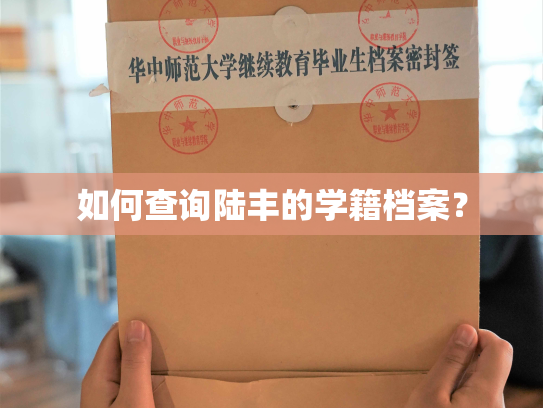 如何查询陆丰的学籍档案？