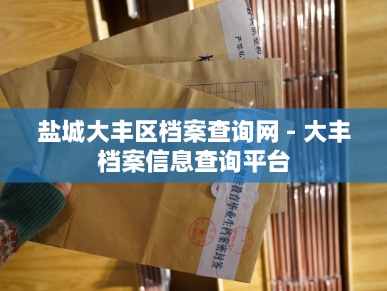 盐城大丰区档案查询网 - 大丰档案信息查询平台