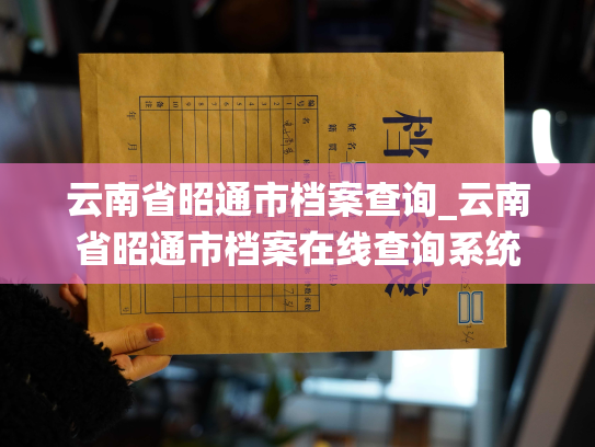 云南省昭通市档案查询_云南省昭通市档案在线查询系统