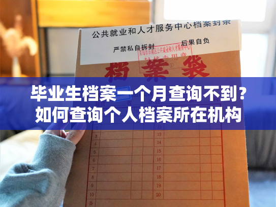 毕业生档案一个月查询不到？如何查询个人档案所在机构