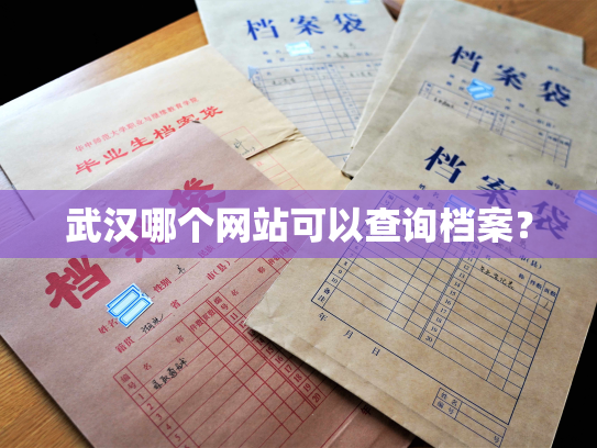 武汉哪个网站可以查询档案？