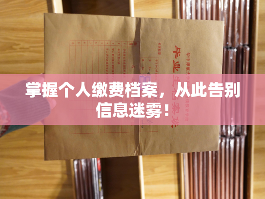 掌握个人缴费档案，从此告别信息迷雾！