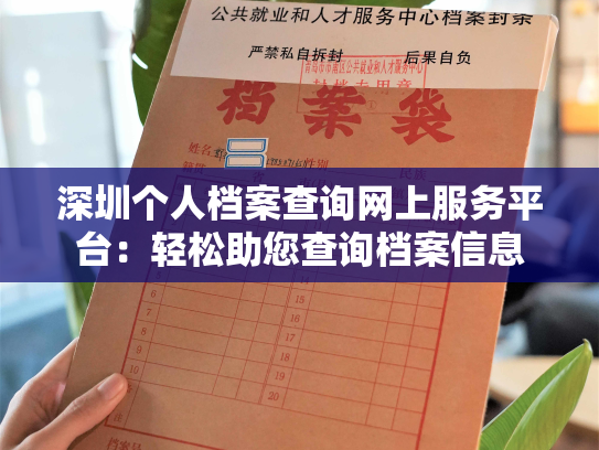深圳个人档案查询网上服务平台：轻松助您查询档案信息