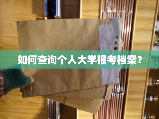 如何查询个人大学报考档案？