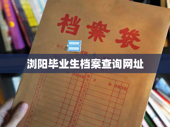 浏阳毕业生档案查询网址