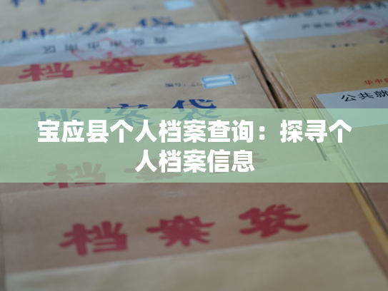 宝应县个人档案查询：探寻个人档案信息