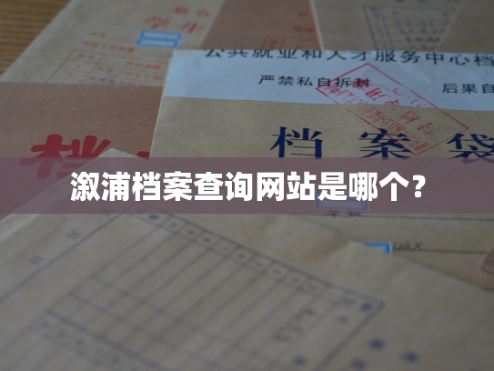 溆浦档案查询网站是哪个？