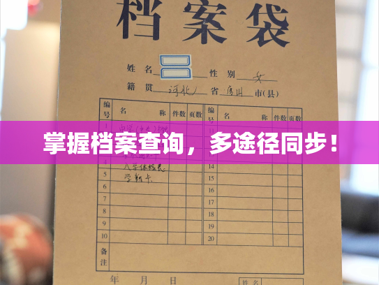 掌握档案查询，多途径同步！