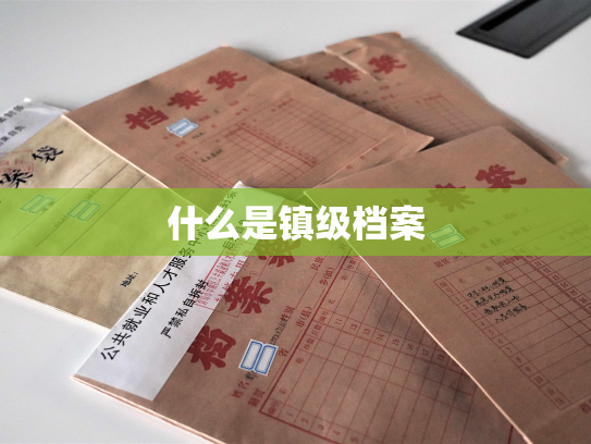 什么是镇级档案