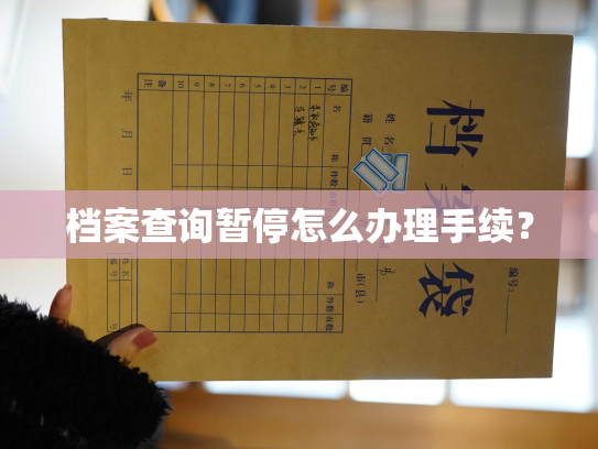 档案查询暂停怎么办理手续？