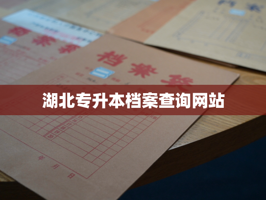 湖北专升本档案查询网站