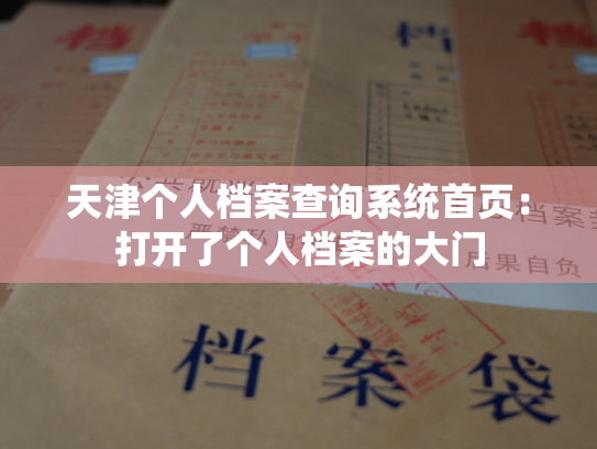 天津个人档案查询系统首页：打开了个人档案的大门