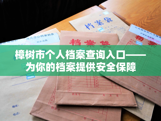 樟树市个人档案查询入口——为你的档案提供安全保障