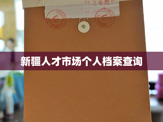 新疆人才市场个人档案查询