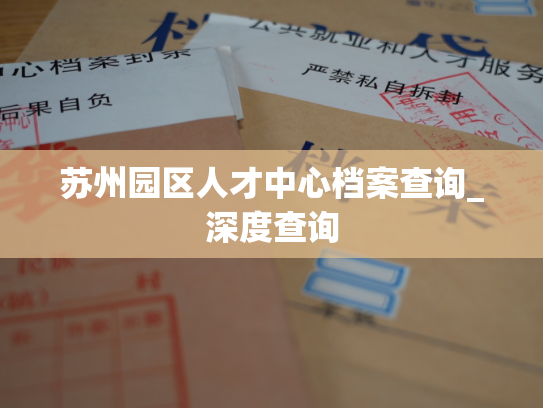 苏州园区人才中心档案查询_深度查询
