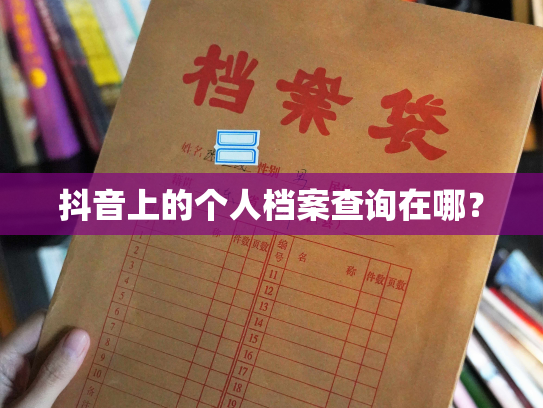 抖音上的个人档案查询在哪？