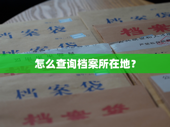 怎么查询档案所在地？