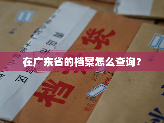 在广东省的档案怎么查询？