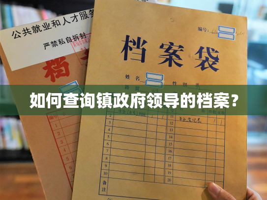 如何查询镇政府领导的档案？