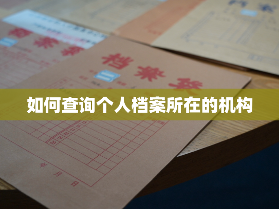 如何查询个人档案所在的机构