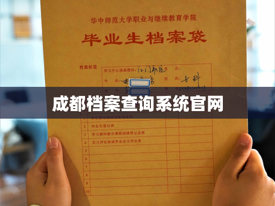 成都档案查询系统官网