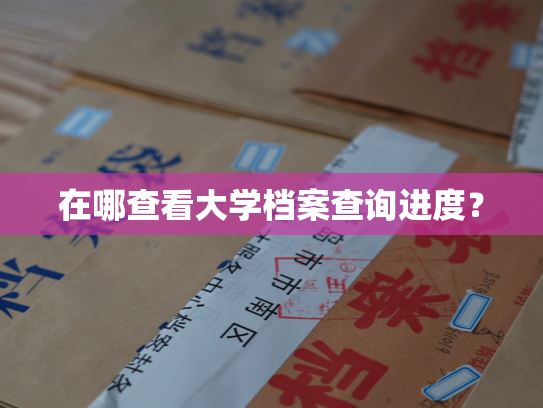 在哪查看大学档案查询进度？