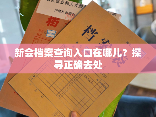 新会档案查询入口在哪儿？探寻正确去处