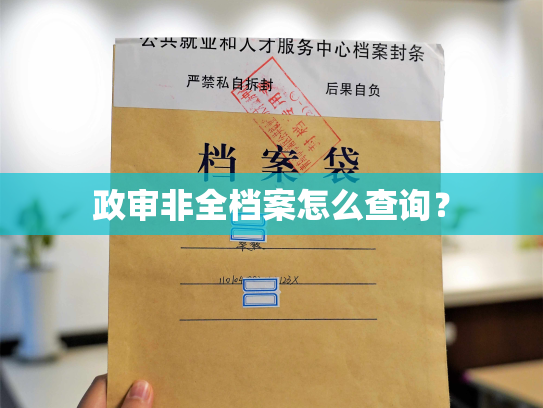 政审非全档案怎么查询？