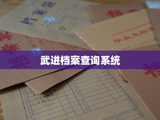 武进档案查询系统