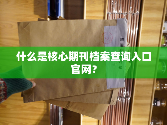 什么是核心期刊档案查询入口官网？