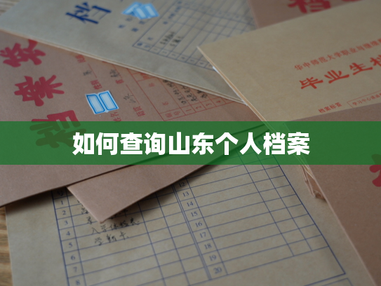 如何查询山东个人档案