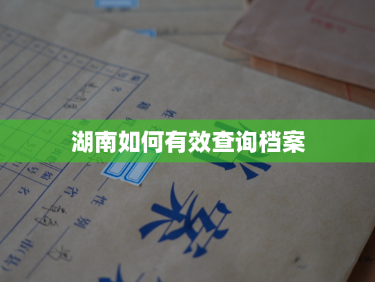 湖南如何有效查询档案