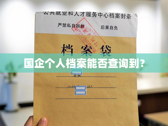 国企个人档案能否查询到？