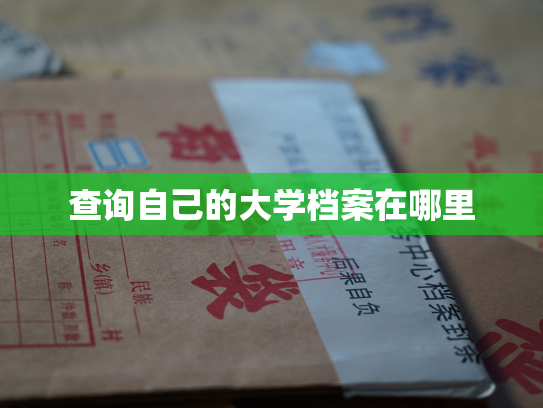 查询自己的大学档案在哪里