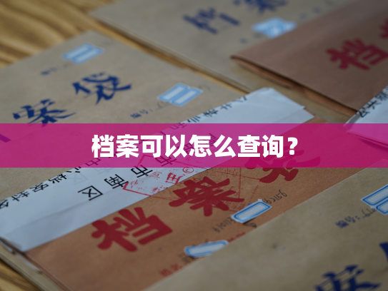 档案可以怎么查询？