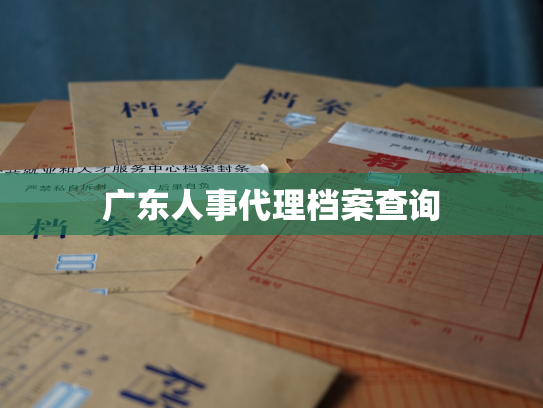 广东人事代理档案查询