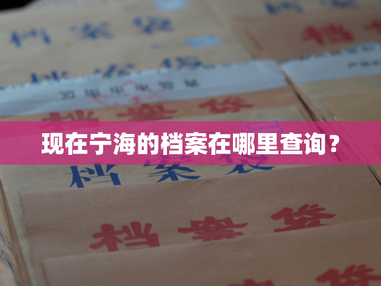 现在宁海的档案在哪里查询？
