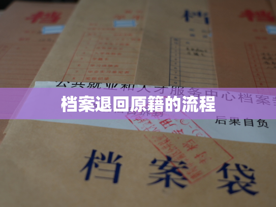 档案退回原籍的流程