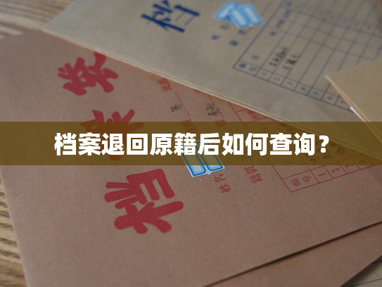 档案退回原籍后如何查询？
