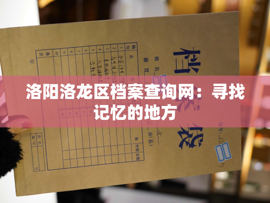 洛阳洛龙区档案查询网：寻找记忆的地方